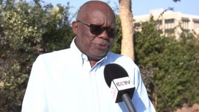 Botswana Seeks Alternative Markets as US Tariffs Erode Export Competitiveness