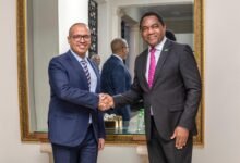 Tanzania’s Amsons Group Seals $600 Million Energy Deal in Zambia