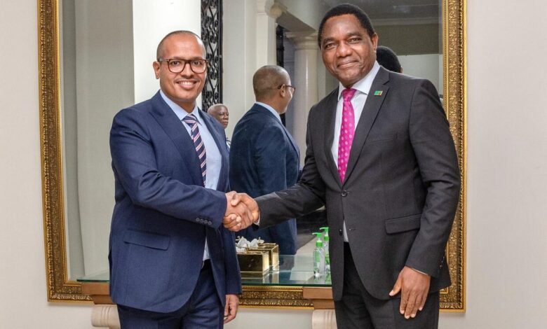 Tanzania’s Amsons Group Seals $600 Million Energy Deal in Zambia