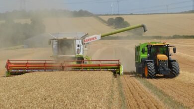 From Third to First World, in 15 Years