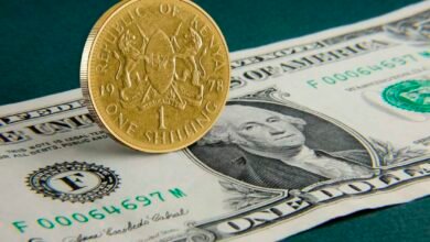 Kenya's Diaspora Remittances Cross $5 Billion Mark in 2025