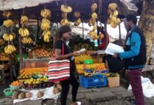 DTB Forecasts Kenya's Economy to Grow at 5.3% in 2026