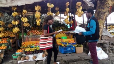 DTB Forecasts Kenya's Economy to Grow at 5.3% in 2026