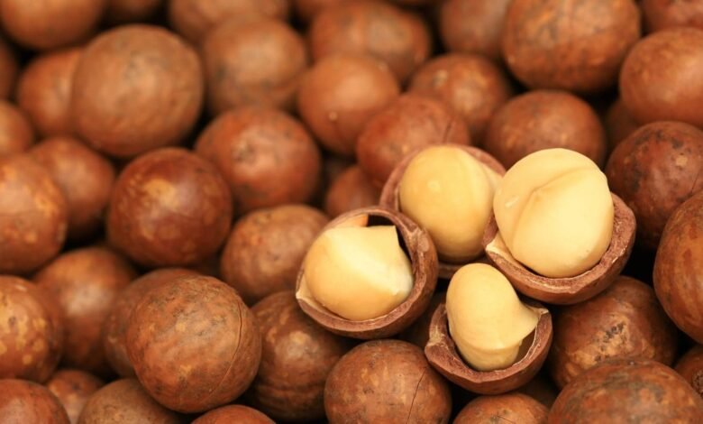 AFA Reopens Macadamia Harvesting, Trading Window