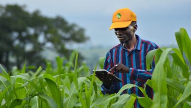Digital Lenders Emerge as Key Source of Credit for Kenyan Farmers