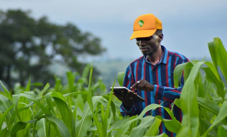 Digital Lenders Emerge as Key Source of Credit for Kenyan Farmers